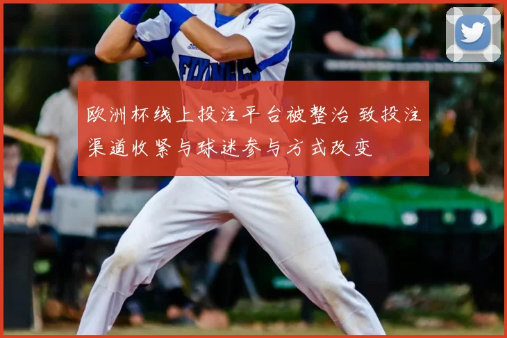 欧洲杯线上投注平台被整治 致投注渠道收紧与球迷参与方式改变