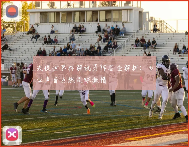 央视世界杯解说员阵容全解析：专业声音点燃足球激情
