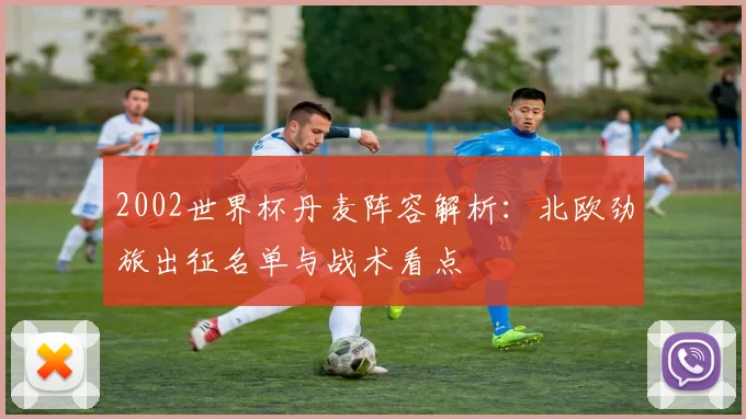 2002世界杯丹麦阵容解析：北欧劲旅出征名单与战术看点