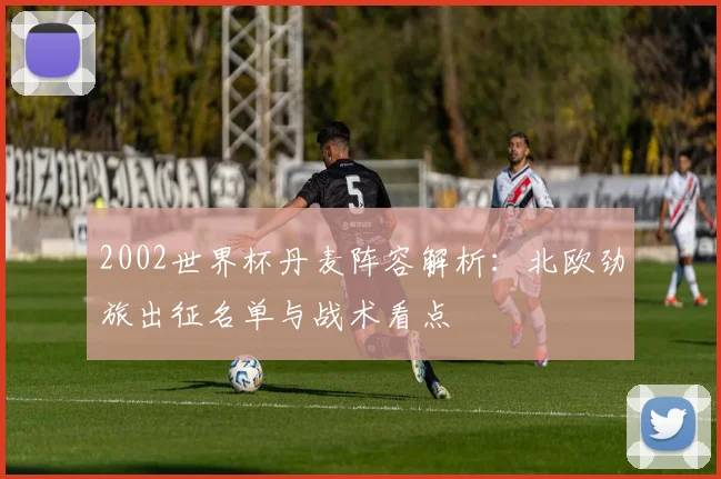 2002世界杯丹麦阵容解析：北欧劲旅出征名单与战术看点